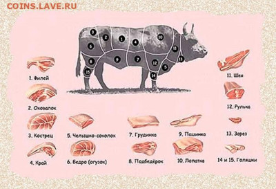 Вопросом на вопрос! - кат