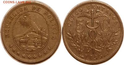 Боливия, 5сент. 1895. До 11.04.2025 в 22:00 по Мск. - 2_In-14