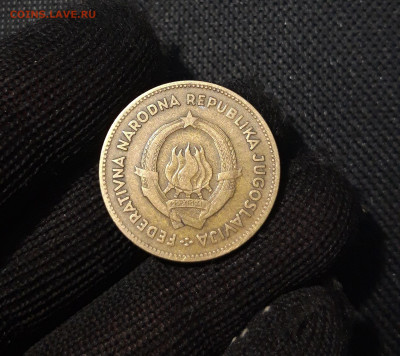 ЮГОСЛАВИЯ 50 динар 1955 года До 09.04 - 20250311_204946
