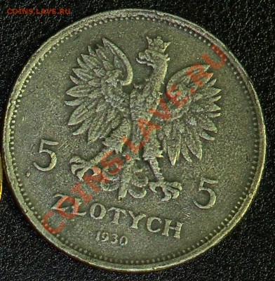 5 злот 1930 ВОССТАНИЕ  копия с 10 руб! до 15.02 10-00 МСК - 100_0724.JPG