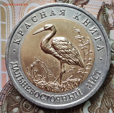 КК 50 рублей 1993 аист. До 07.04.25 в 22:00 мск - IMG-20250317-WA0027
