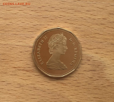 Канада 1 доллар 1987 Гагра птица фауна Пруф Proof - kanada_1_dollar_1987_gagra_ptica_fauna_pruf_proof_kapsula (1)