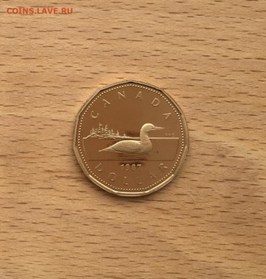 Канада 1 доллар 1987 Гагра птица фауна Пруф Proof - kanada_1_dollar_1987_gagra_ptica_fauna_pruf_proof_kapsula