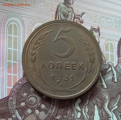 5 копеек 1931. До 09.04.25 в 22.00 - 20250404_141803
