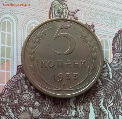5 копеек 1953. До 09.04.25 в 22.00 - 20250404_143434
