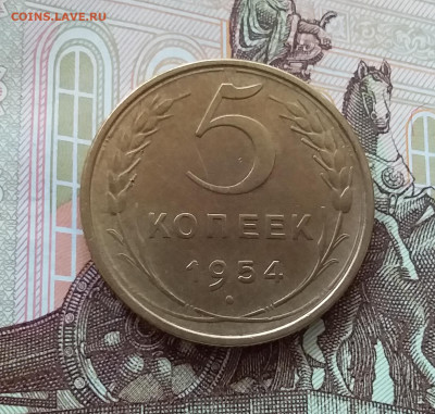 5 копеек 1954. До 09.04.25 в 22.00 - 20250404_143655