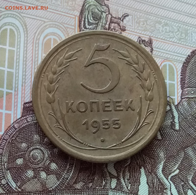 5 копеек 1955. До 09.04.25 в 22.00 - 20250404_143925