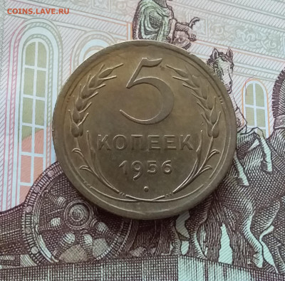 5 копеек 1956. До 09.04.25 в 22.00 - 20250404_144159