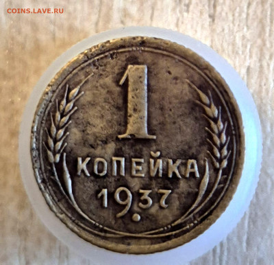 1к 1937 до 06.04.25  22-00 Москва - 20250105_153428