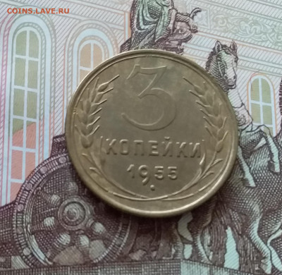 3 копейки 1955. До 09.04.25 в 22.00 - 20250404_163624