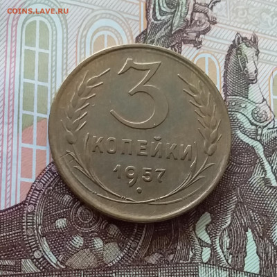 3 копейки 1957. До 09.04.25 в 22.00 - 20250404_164535