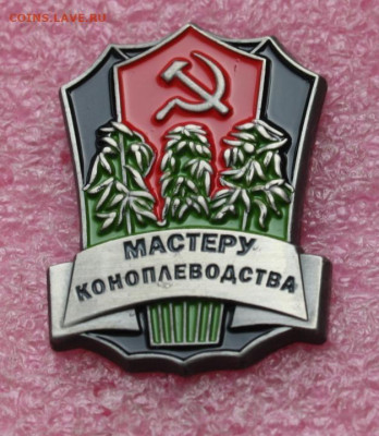 Ассоциация слов. - 5b481f34d6775016f20e9862