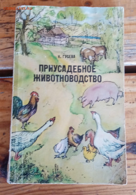 Н. Гусева. Приусадебное хозяйство. До 12.04.25 в 22:00 по мс - IMG_20250406_091943