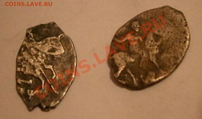 подскажите по чешуйкам - P2090196.JPG