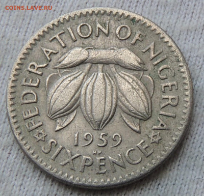 Нигерия 6 пенсов 1959 до 10.04.2025 - Нигерия 6 пенсов 59.JPG
