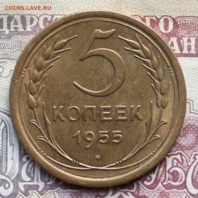5 копеек 1955г до 10.04.25г - 55р.JPG