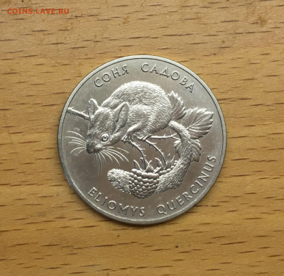 Украина 2 гривны 1999 Флора и фауна - Соня садовая животные - IMG_9568.JPG