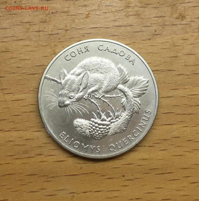 Украина 2 гривны 1999 Флора и фауна - Соня садовая животные - IMG_9570.JPG