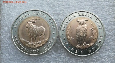 5 руб 1991г КК козёл и филин до 11.04 в 22-00 - IMG_20250409_171247