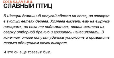 Юмор - попугай