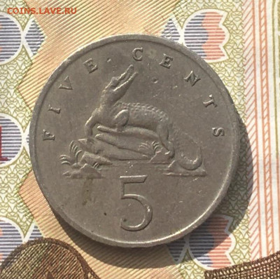 Ямайка 5 центов 1969 Крокодил до 16.04 в 22.00 - IMG_E8109.JPG