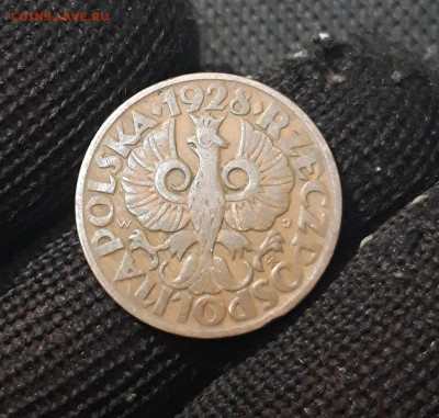 ПОЛЬША 5 ГРОШЕЙ 1928 года До 22.04 - 20250306_225104