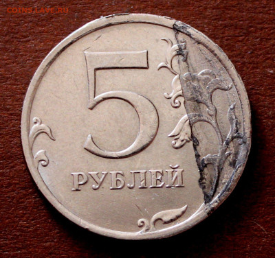 Орёл с Достоинством, и другие браки - _20250309_143525.JPG