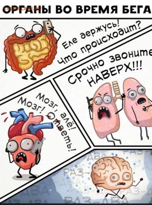 удалить - 9f05bd7734bf02d0a0593e17c19a9bb1