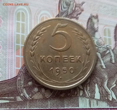 5 копеек 1950. До 24.04.25 в 22.00 - 20250419_151758