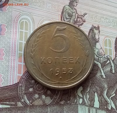 5 копеек 1953. До 24.04.25 в 22.00 - 20250419_151821