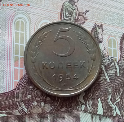 5 копеек 1954. До 24.04.25 в 22.00 - 20250419_151848