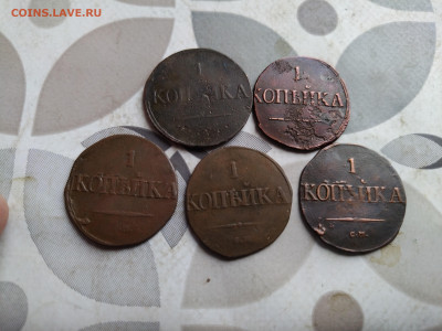 1 копейка 1831 СМ, 5 штук до 23.04.2025 - 5мас (7)