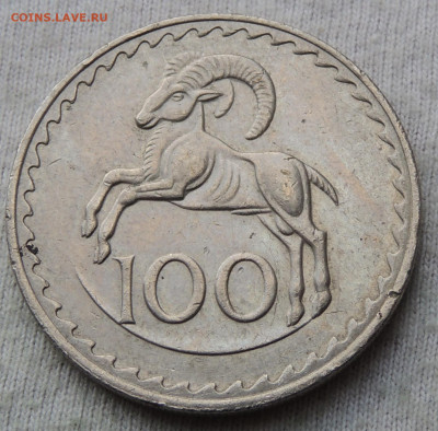 Кипр 100 милей 1980 до 27.04.2025 - Кипр 100 милей 80.JPG