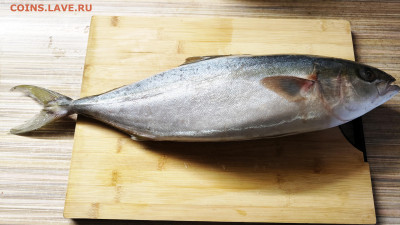 Кто что готовит? Фото-отчёты. - IMG20250423173609