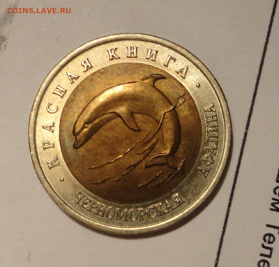 50р 93г Красная книга  Черноморская Афалина - DSC02790.JPG