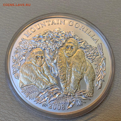 Горная горилла. Вес 93.3гр. 2008 год. Руанда 1000 франков - IMG-20250403-WA0007