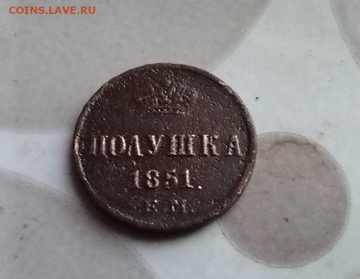 Полушка 1851 ем до 27.04.2025 - 1851 3