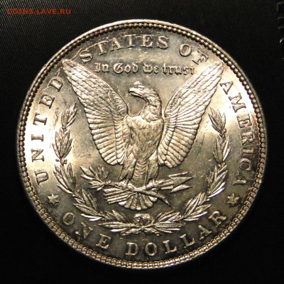 США. Доллар 1886 UNC, красивая патина. До 03.05.25 - DSC09773.JPG