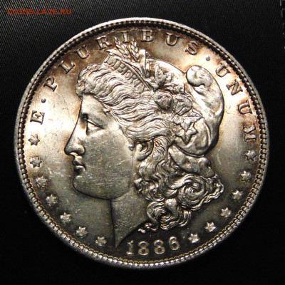 США. Доллар 1886 UNC, красивая патина. До 03.05.25 - DSC09772.JPG