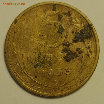 5 копеек 1953г - 20250428_065604