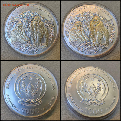 Горная горилла. 93.3гр. 2008г. Руанда 1000 франков. До 30.04 - PhotoCollage_1745783005801