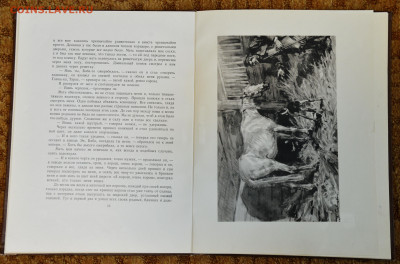 Л. Толстой "Холстомер" 1951г. - Холстомер 1951 4.JPG