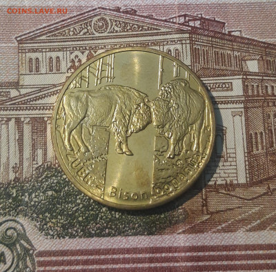 2 злотых 2013 года Красная книга Фауна - Зубр До 05.05 - 20250227_181000