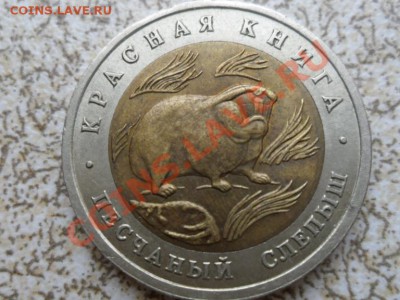 50 руб 1994 г "ПЕСЧАНЫЙ СЛЕПЫШ"до 16.02.12 в 22-00 мск. - SAM_4403.JPG