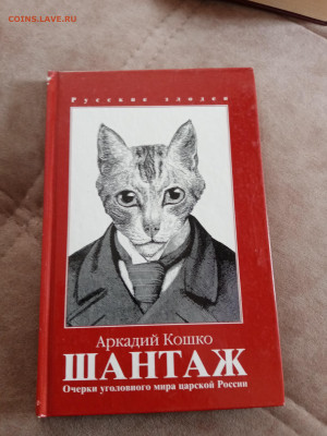 Аркадий кошкой. Шантаж до 05.05.25 в 22:00 по мск - IMG_20250430_140756