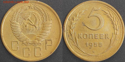 СССР 1955 год 5 копеек  до 22:00, 06.05.25 - 5 к-1955-2