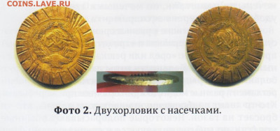 Кто и для чего делали насечки на монетах? - двухорловик 001