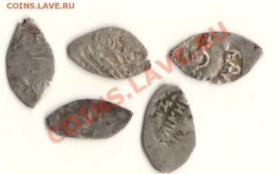 чешуя 5штук разная до15.02.12 в 22.00мск - сканирование0014