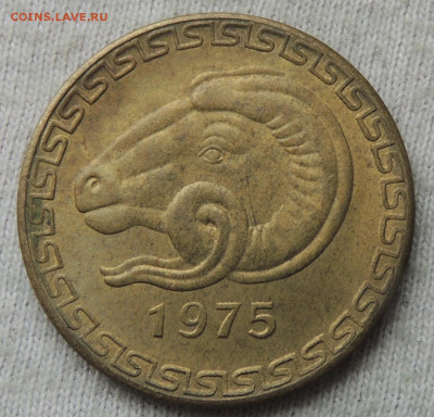 Алжир 20 сантимов 1975 с цветком до 07.05.2025 - Алжир 20 сантимов 75 .JPG