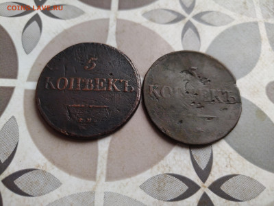 5 копеек 1831 СМ, 2 штуки до 07.05.2025 - 2пят (15)